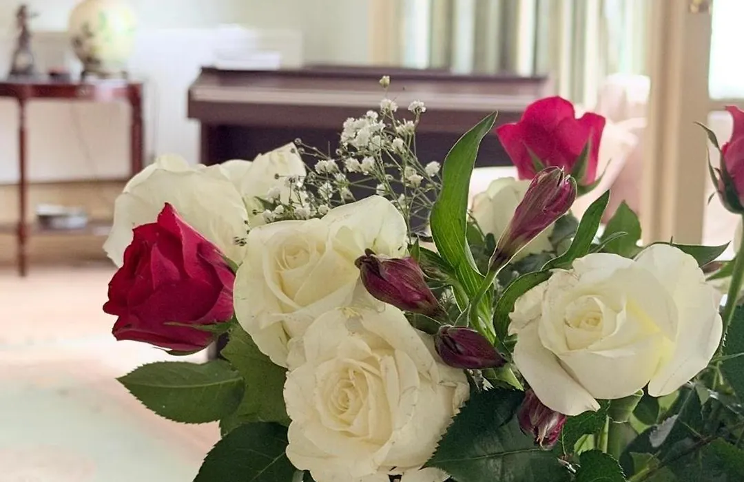 Georgian House Boutique B&B-1